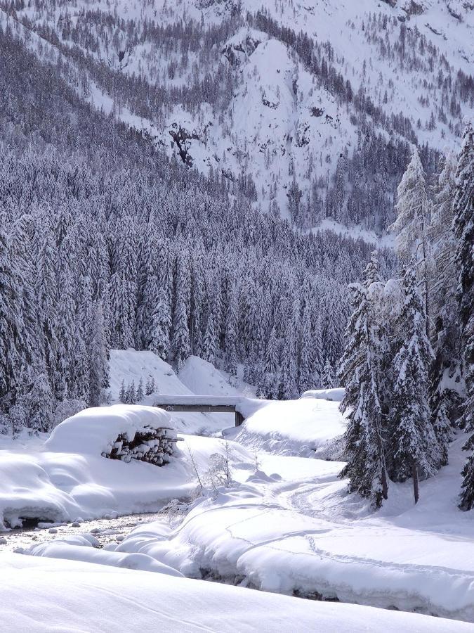 Appartamento Centrale Sappada Eksteriør bilde