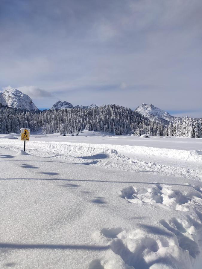 Appartamento Centrale Sappada Eksteriør bilde